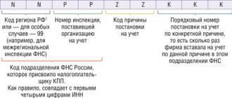 Проставление кпп плательщика в платежном поручении Почему у организации два кпп